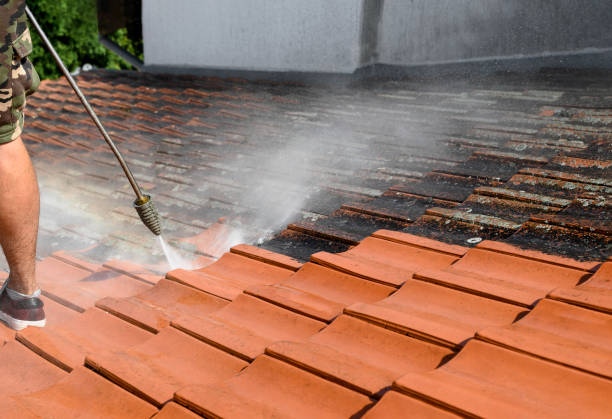 Best Pressure Washing Patio  in Woodsboro, TX